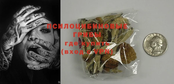 прущий лед Арсеньев