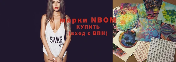 прущие грибы Балабаново