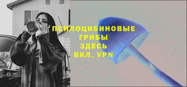 MESCALINE Инта