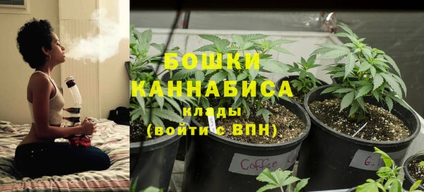 прущий лед Арсеньев