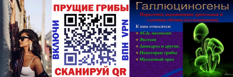 как найти закладки  Завитинск  Галлюциногенные грибы прущие грибы 